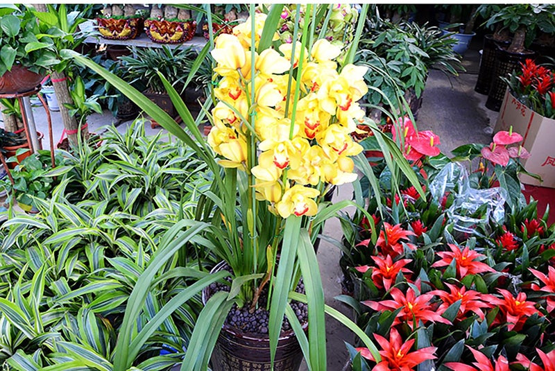 Decora 18 Gauge Green Floral Stem Wire for Artificial Flower Making 16 inch,50/Package - Image 4